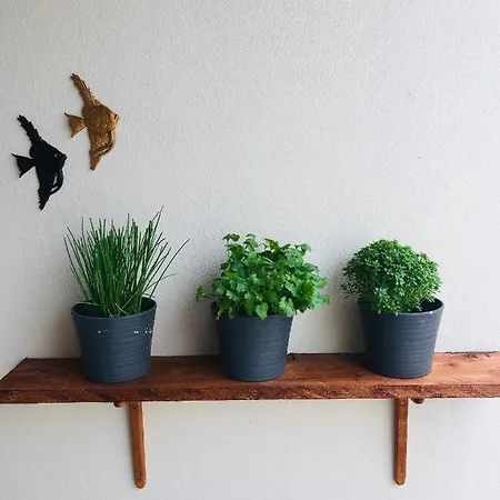 Πανσιόν Pillows 3*